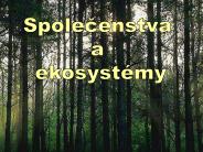 Prezentace aplikace PowerPoint