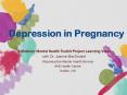 Depression in Pregnancy PowerPoint PPT Presentation