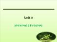 Unit A PowerPoint PPT Presentation