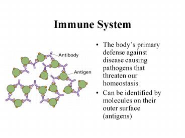 Immune System