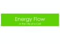 Energy Flow PowerPoint PPT Presentation