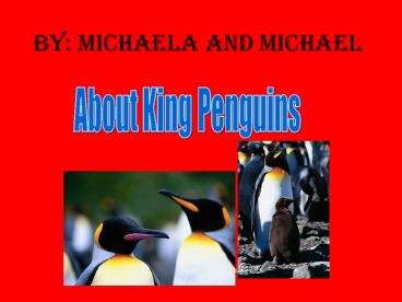 By: Michaela and Michael