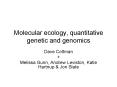 Molecular ecology, quantitative genetic and genomics PowerPoint PPT Presentation