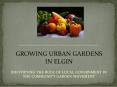 IDENTIFYING THE ROLE OF LOCAL GOVERNMENT IN THE COMMUNITY GARDEN MOVEMENT PowerPoint PPT Presentation