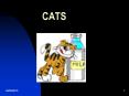 CATS PowerPoint PPT Presentation