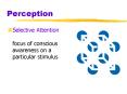 Perception PowerPoint PPT Presentation