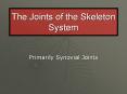 The Joints of the Skeleton System PowerPoint PPT Presentation