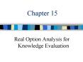 Real Option Analysis for Knowledge Evaluation PowerPoint PPT Presentation