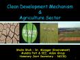 Clean Development Mechanism PowerPoint PPT Presentation
