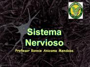 Diapositiva 1