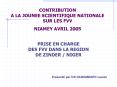 CONTRIBUTION A LA JOUNEE SCIENTIFIQUE NATIONALE SUR LES FVV NIAMEY AVRIL 2005 PowerPoint PPT Presentation
