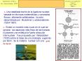 El modelo de la gota l PowerPoint PPT Presentation