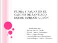 FLORA Y FAUNA EN EL CAMINO DE SANTIAGO DESDE BURGOS A LE PowerPoint PPT Presentation