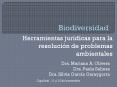 Biodiversidad PowerPoint PPT Presentation
