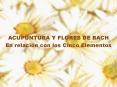 ACUPUNTURA Y FLORES DE BACH PowerPoint PPT Presentation