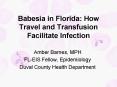 Babesia in Florida: How Travel and Transfusion Facilitate Infection PowerPoint PPT Presentation