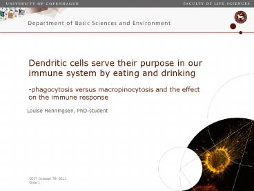 Louise Henningsen, PhD-student