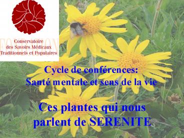 Cycle de conf