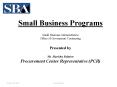 Small Business Programs PowerPoint PPT Presentation