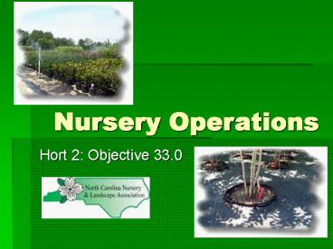 Nursery Operations