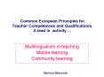 Common European Principles for Teacher Competences and Qualifications. A lead in activity  PowerPoint PPT Presentation