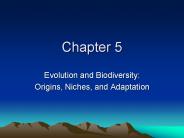 Evolution and Biodiversity: