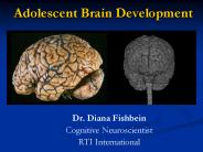Adolescent Brain Development