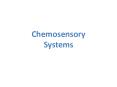 Chemosensory Systems PowerPoint PPT Presentation