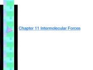 Chapter 11 Intermolecular Forces