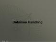 DETAINEE HANDLING PowerPoint PPT Presentation