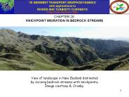 KNICKPOINT MIGRATION IN BEDROCK STREAMS