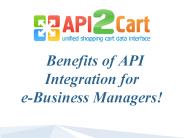 Benefits of API Integration for e-Business Managers