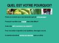 QUEL EST VOTRE POURQUOI? PowerPoint PPT Presentation