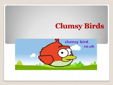 Clumsy Birds