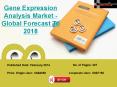 2018 Gene Expression Analysis Market across Globe- Opportunities, Challenges & Threats PowerPoint PPT Presentation