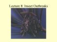 Lecture 8: Insect Outbreaks PowerPoint PPT Presentation