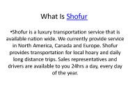What Is Shofur