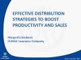 EFFECTIVE DISTRIBUTION    STRATEGIES TO BOOST PRODUCTIVITY AND SALES PowerPoint PPT Presentation