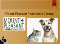 Mount Pleasant Veterinary Group PowerPoint PPT Presentation