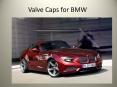 Valve Caps for BMW Car