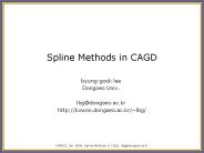 Spline Methods in CAGD