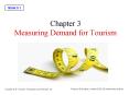 Chapter 3 Measuring Demand for Tourism PowerPoint PPT Presentation