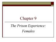The Prison Experience: