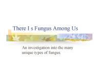 There I s Fungus Among Us