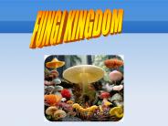 FUNGI KINGDOM