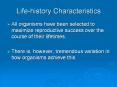 Life-history Characteristics PowerPoint PPT Presentation
