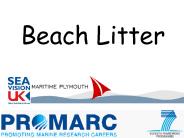 Beach Litter