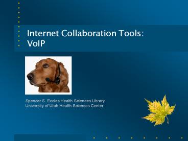 Internet Collaboration Tools: VoIP