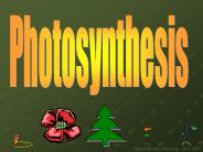 Photosynthesis