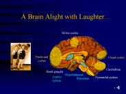 A Brain Alight with Laughter